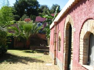 Monte Alto