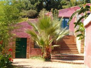 Monte Alto