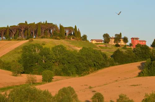 Azienda Agrituristica Il Sarale