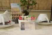 Rome Wellness House B&B