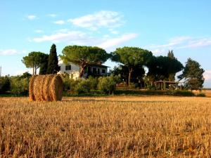 Agriturismo Peretti