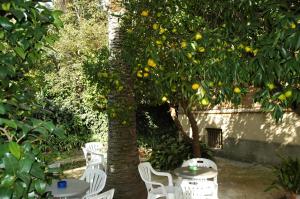 Hotel Lodi