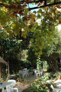 Hotel Lodi