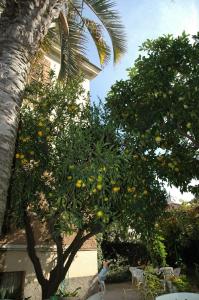 Hotel Lodi