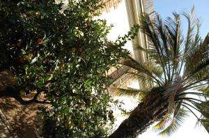 Hotel Lodi