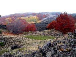 Sotto Il Vulcano