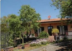 Sotto Il Vulcano