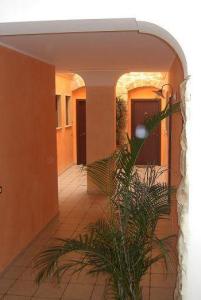 Sikania Suite