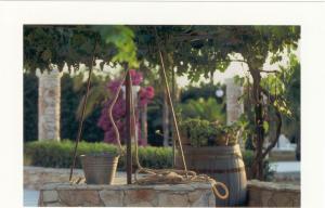 Tenuta Specolizzi