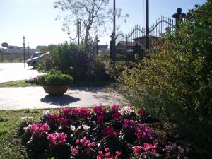 Altea Suites