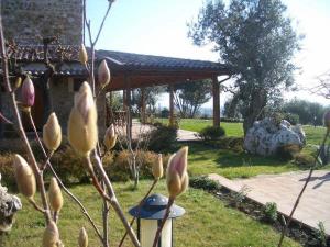 Casale Giancesare