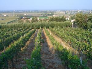 Casale Giancesare