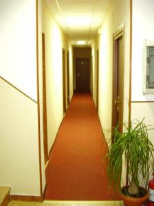 Hotel Ariosto