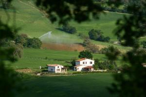 Agriturismo Il Cavallino