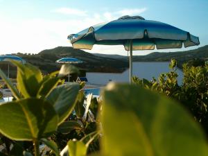 Agriturismo Il Cavallino
