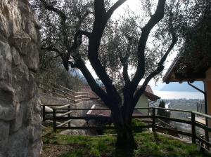 Hotel Isola Verde