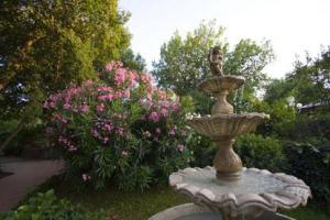 Hotel Continental Ischia
