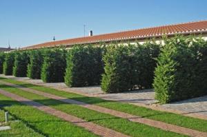 All Ways Garden Hotel & Leisure