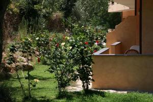 Hotel Cannamele Resort