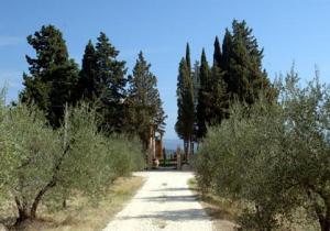 Il Castagnolo