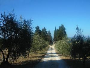 Il Castagnolo