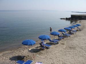 Hotel Antares on the Beach