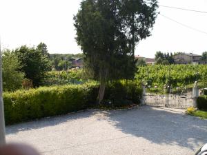 Agriturismo Da Merlo