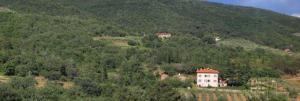 Villa La Grotta