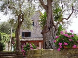 Villa Carolina Country House