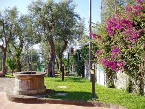Villa Carolina Country House