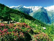 Alphotel Stocker Alpine Wellnesshotel