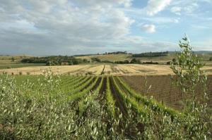 Hotel Borgo Antico