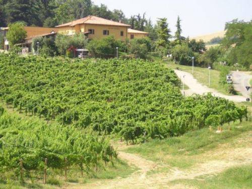 Agriturismo Gaggioli Borgo Delle Vigne