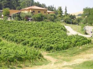 Agriturismo Gaggioli Borgo Delle Vigne