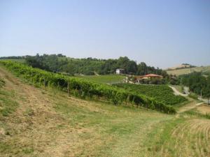 Agriturismo Gaggioli Borgo Delle Vigne