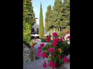 Tenuta Di Ricavo