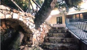 Enis Monte Maccione