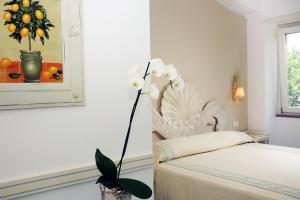 Boutique Hotel Casa Mariantonia