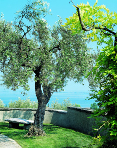 Castello Belvedere Residence