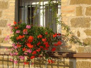 Country House Serena Residence