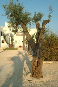 Relais Sant'Eligio