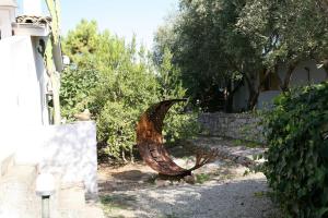 Villa Aurea Bed and Breakfast