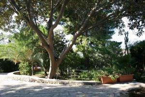 Villa Aurea Bed and Breakfast