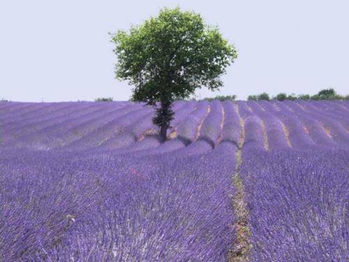 Podere Dell'Arco Country Charme