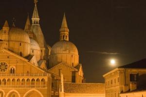 Hotel Belludi 37