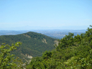 Tenuta Della Guardia