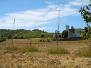 Tenuta Della Guardia
