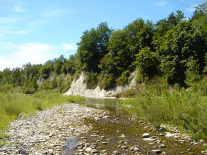 Tenuta Della Guardia