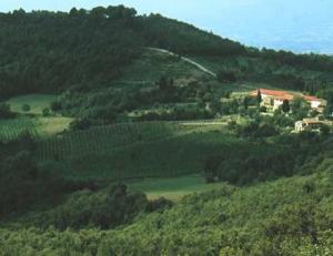 Montelucci Country Resort & Agriturismo di Charme