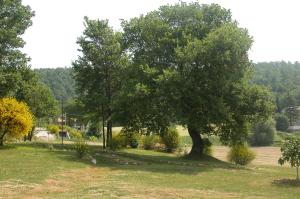 Castello Di Petrata